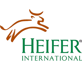 Heifer